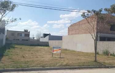 LOTE EN AVENIDA INT. MURIEL EL BOSQUE TIERRA DE PIONEROS