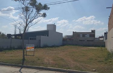 LOTE EN AVENIDA INT. MURIEL EL BOSQUE TIERRA DE PIONEROS