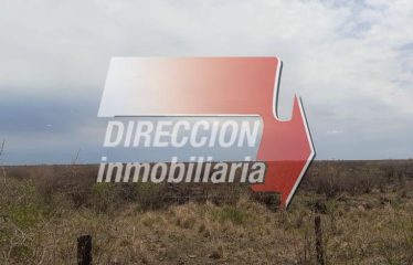 CAMPO AGRÍCOLA DE 920 has – BANDERA (STGO. DEL ESTERO)
