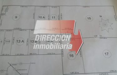 CAMPO AGRÍCOLA DE 920 has – BANDERA (STGO. DEL ESTERO)