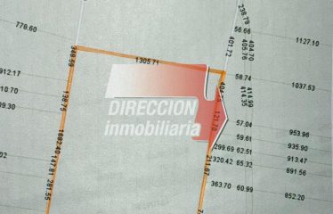 CAMPO GANADERO DE 215 has – BELLA ITALIA (STA. FE)