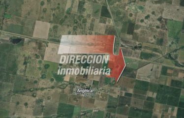 CAMPO GANADERO DE 133 has – ANGÉLICA (STA. FE)