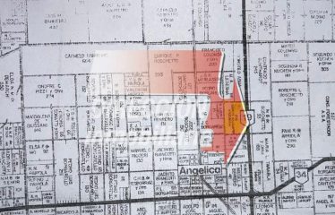 CAMPO GANADERO DE 133 has – ANGÉLICA (STA. FE)