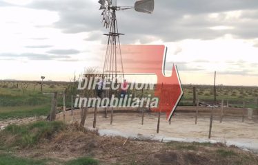 CAMPO AGRÍCOLA-GANADERO DE 256 has – LAS PETACAS (STA. FE)
