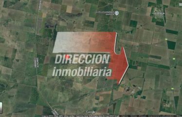 CAMPO AGRÍCOLA-GANADERO DE 256 has – LAS PETACAS (STA. FE)