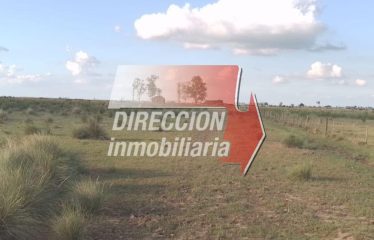CAMPO AGRÍCOLA-GANADERO DE 256 has – LAS PETACAS (STA. FE)