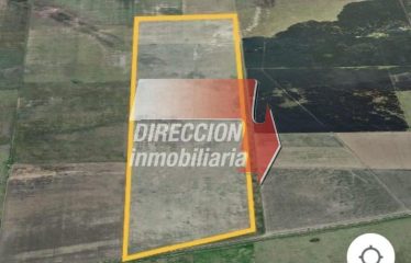 CAMPO AGRÍCOLA-GANADERO DE 256 has – LAS PETACAS (STA. FE)