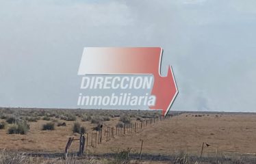 CAMPO NOVILLERO DE 5000 has – SANTA MARGARITA (STA. FE)