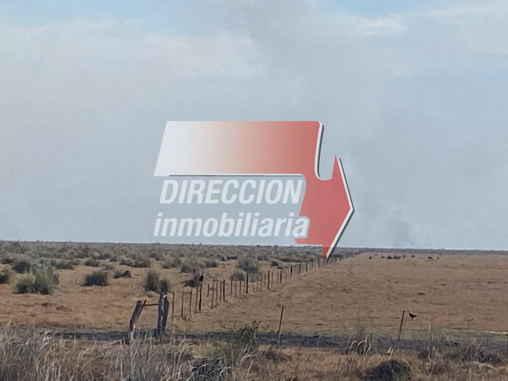 CAMPO NOVILLERO DE 5000 has – SANTA MARGARITA (STA. FE)