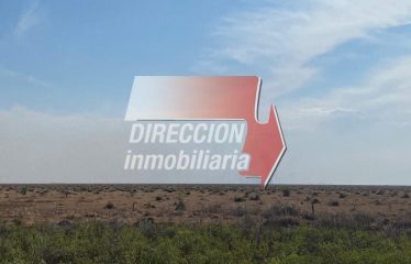 CAMPO NOVILLERO DE 5000 has – SANTA MARGARITA (STA. FE)