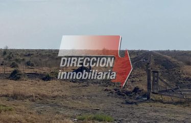 CAMPO NOVILLERO DE 5000 has – SANTA MARGARITA (STA. FE)