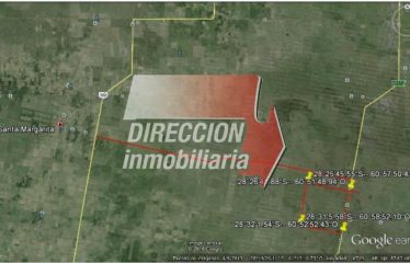 CAMPO NOVILLERO DE 5000 has – SANTA MARGARITA (STA. FE)