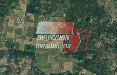 CAMPO GANADERO – 1100 HECTÁREAS EN AGUARÁ GRANDE