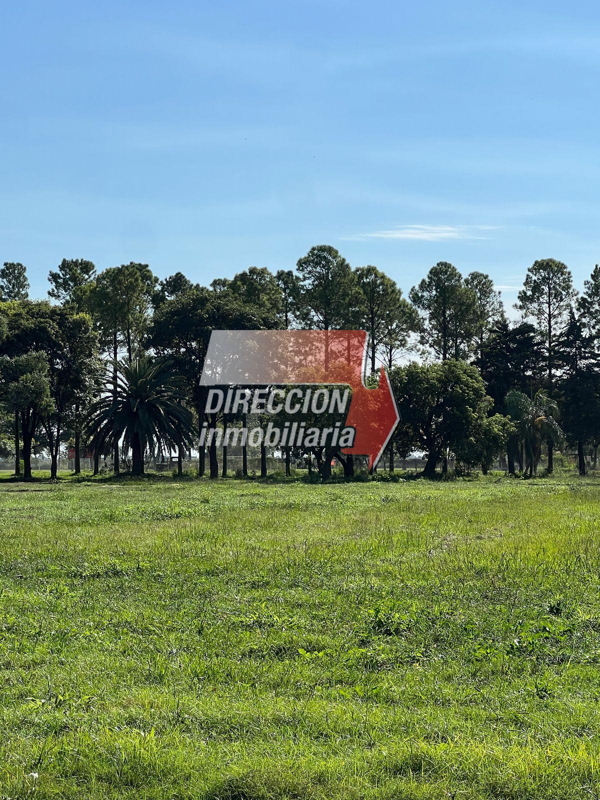 Terreno en Rafaela, Belgrano · foto 10