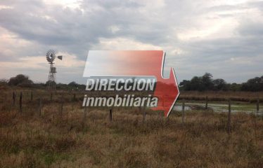 CAMPO GANADERO – 1100 HECTÁREAS EN AGUARÁ GRANDE