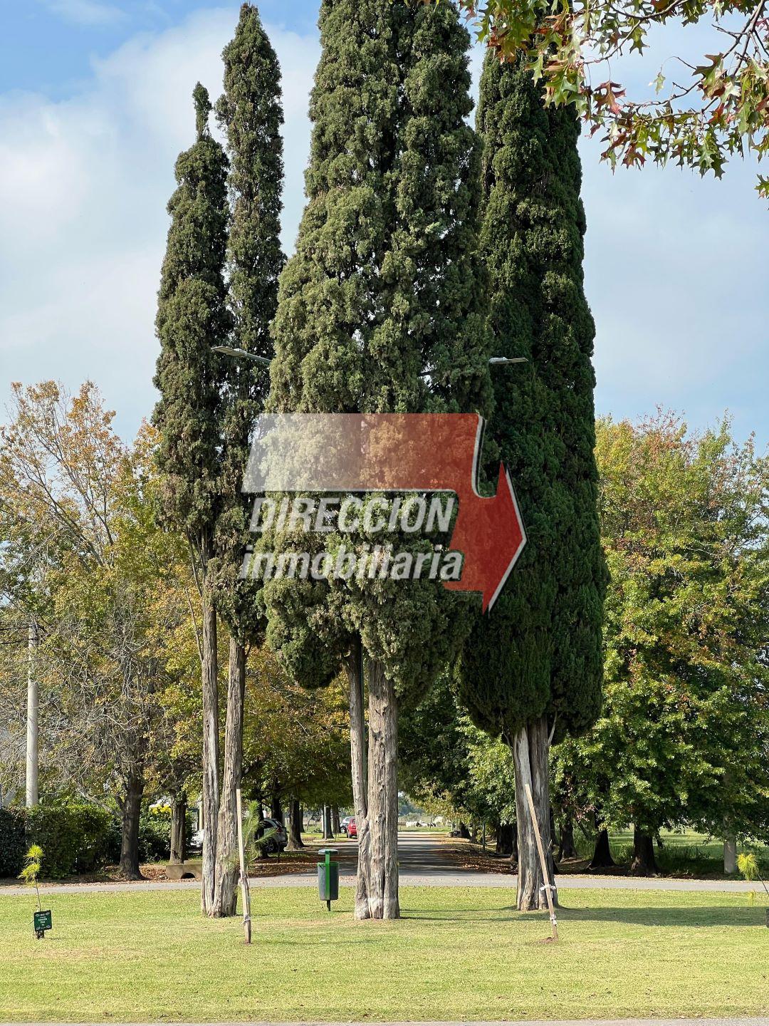 Terreno en Rafaela, Belgrano · foto 8