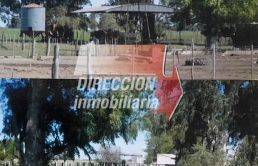 CAMPO MIXTO EN VENTA 401 has – ZONA GRUTLY NORTE