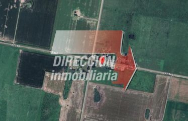 CAMPO GANADERO LA CAMILA AGUARA GRANDE