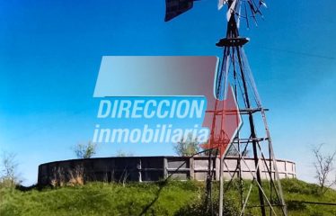 CAMPO MIXTO EN VENTA 401 has – ZONA GRUTLY NORTE