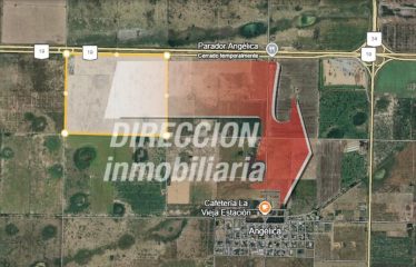 VENTA CAMPO GANADERO 130 HA ANGELICA